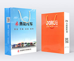 购物袋印刷 手提袋印刷 包袋印刷 250克铜版纸 中号 5000只 2.10元/只